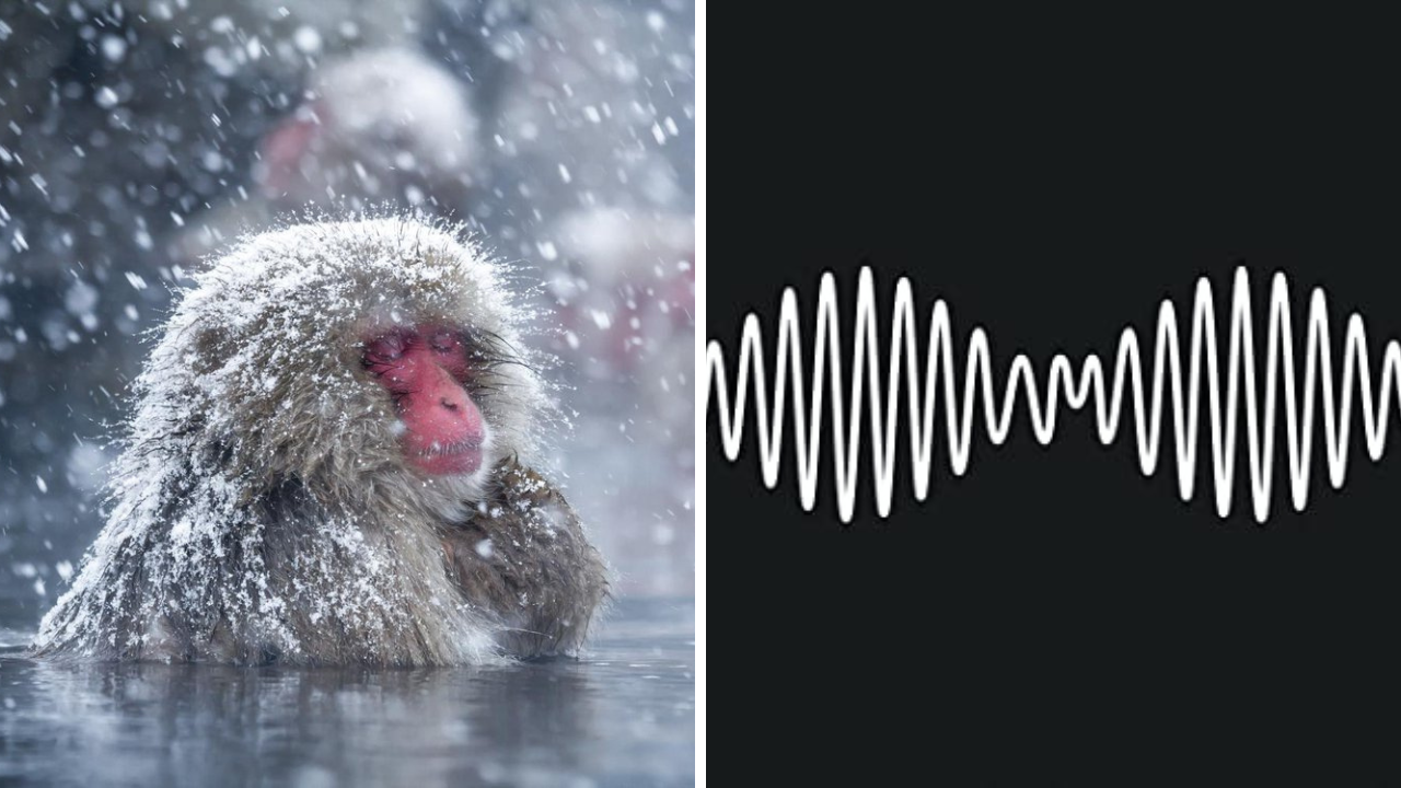 Snow Capped Music Magic -Artic Monkeys